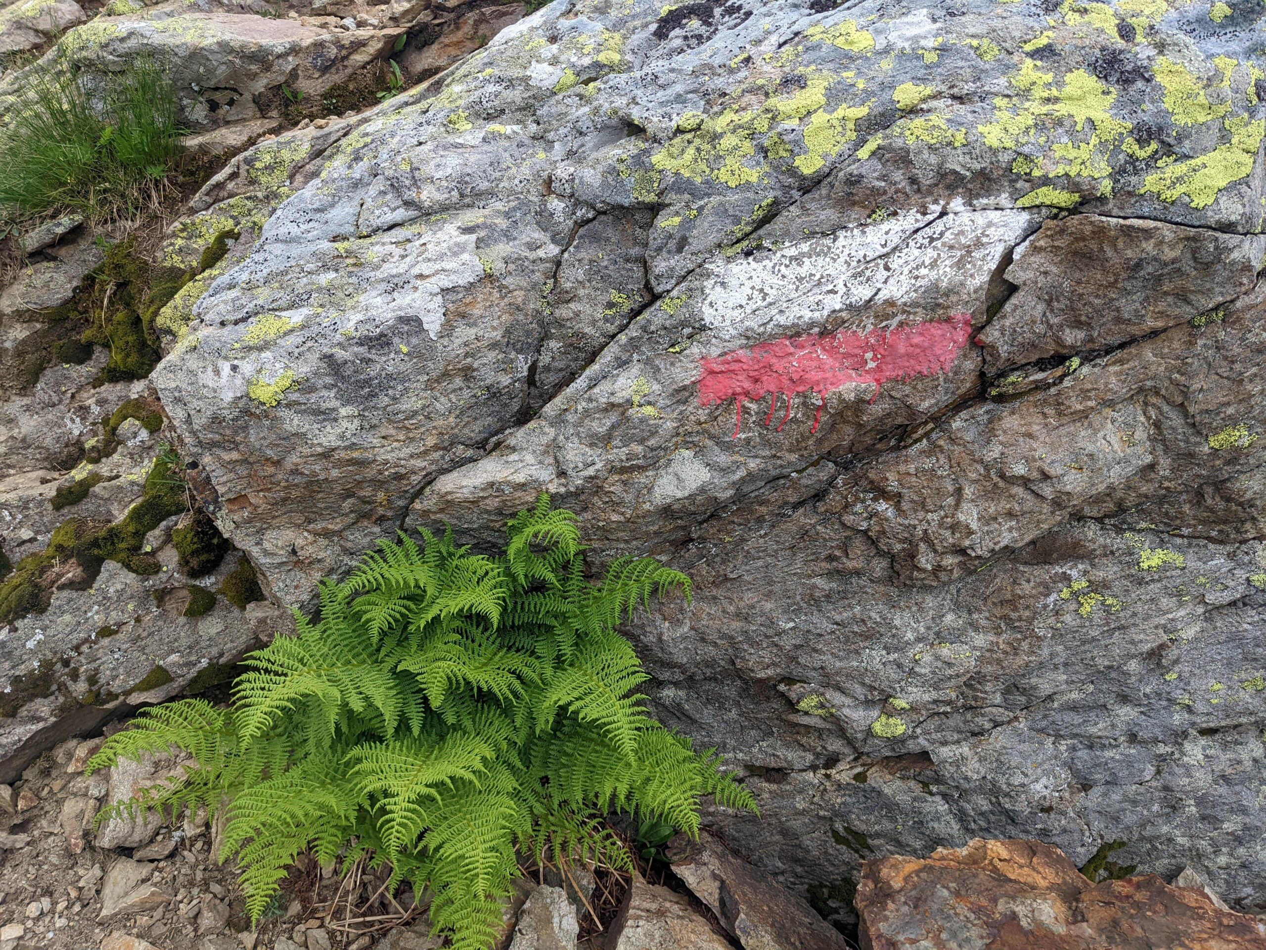 Le balisage des chemins de randonnée en France