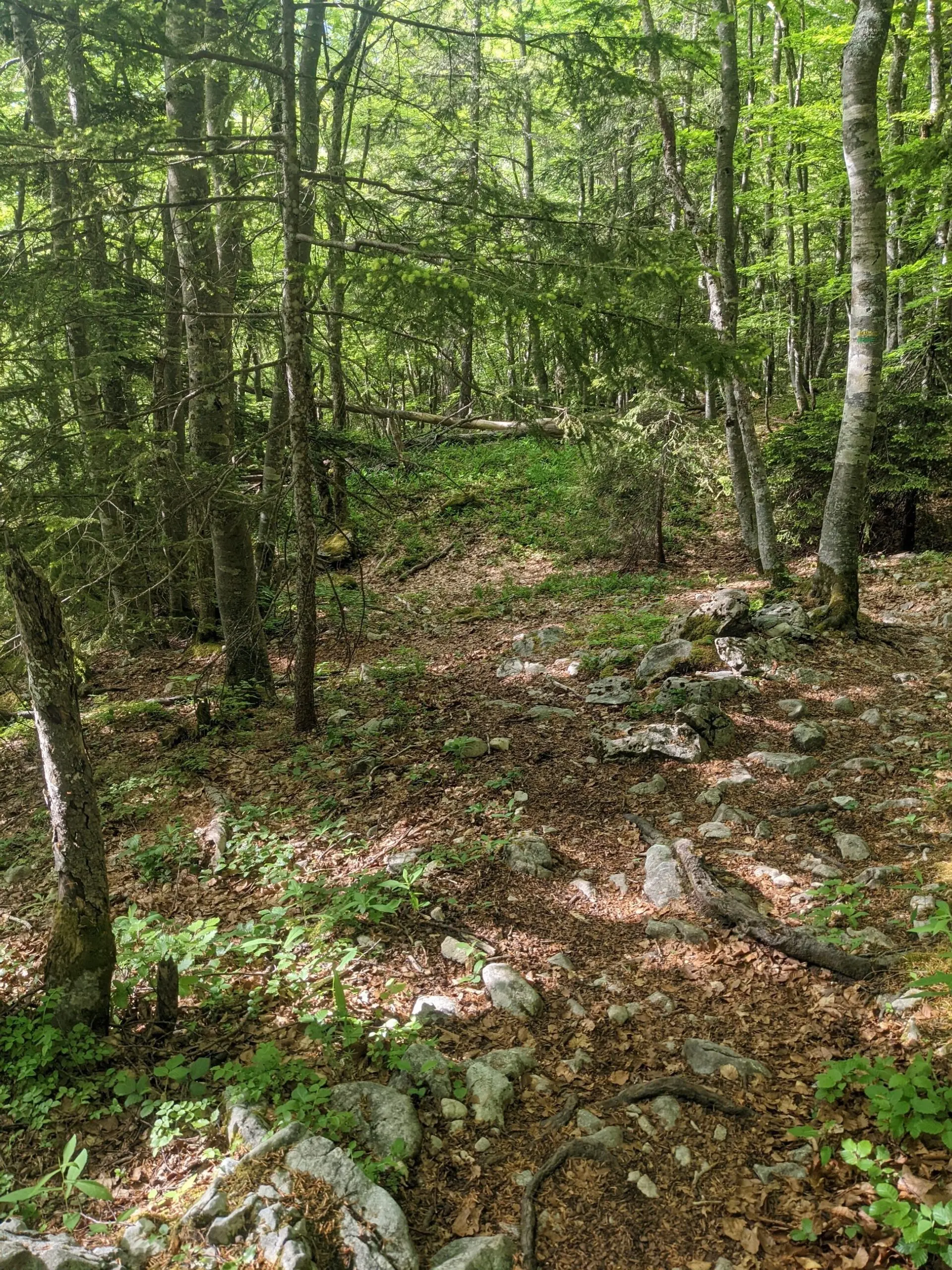 randonnée vercors