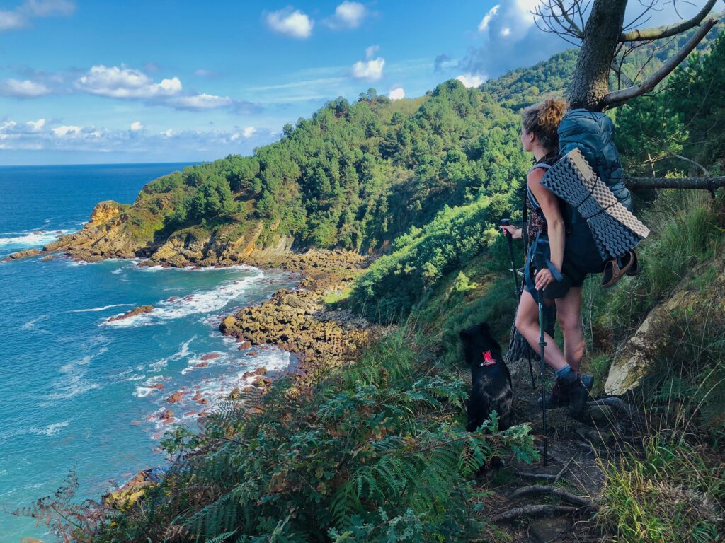 Randonner avec son chien : nos conseils pratiques