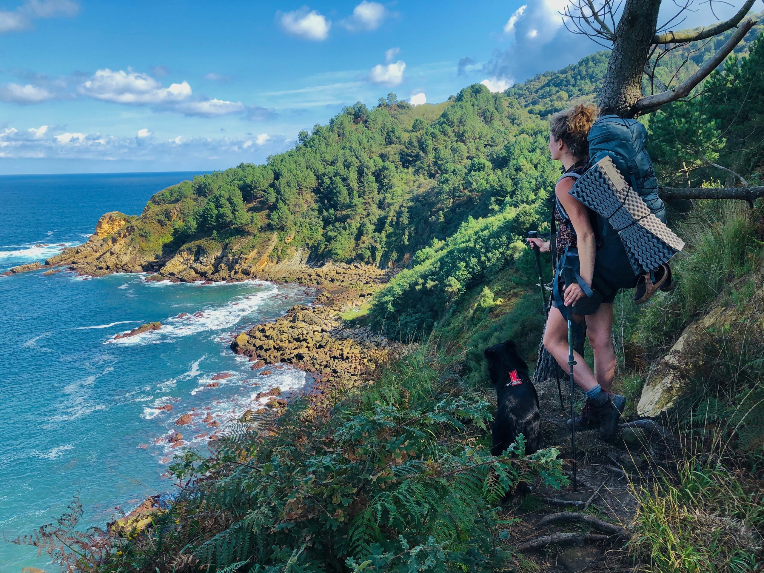 Randonner avec son chien : nos conseils pratiques