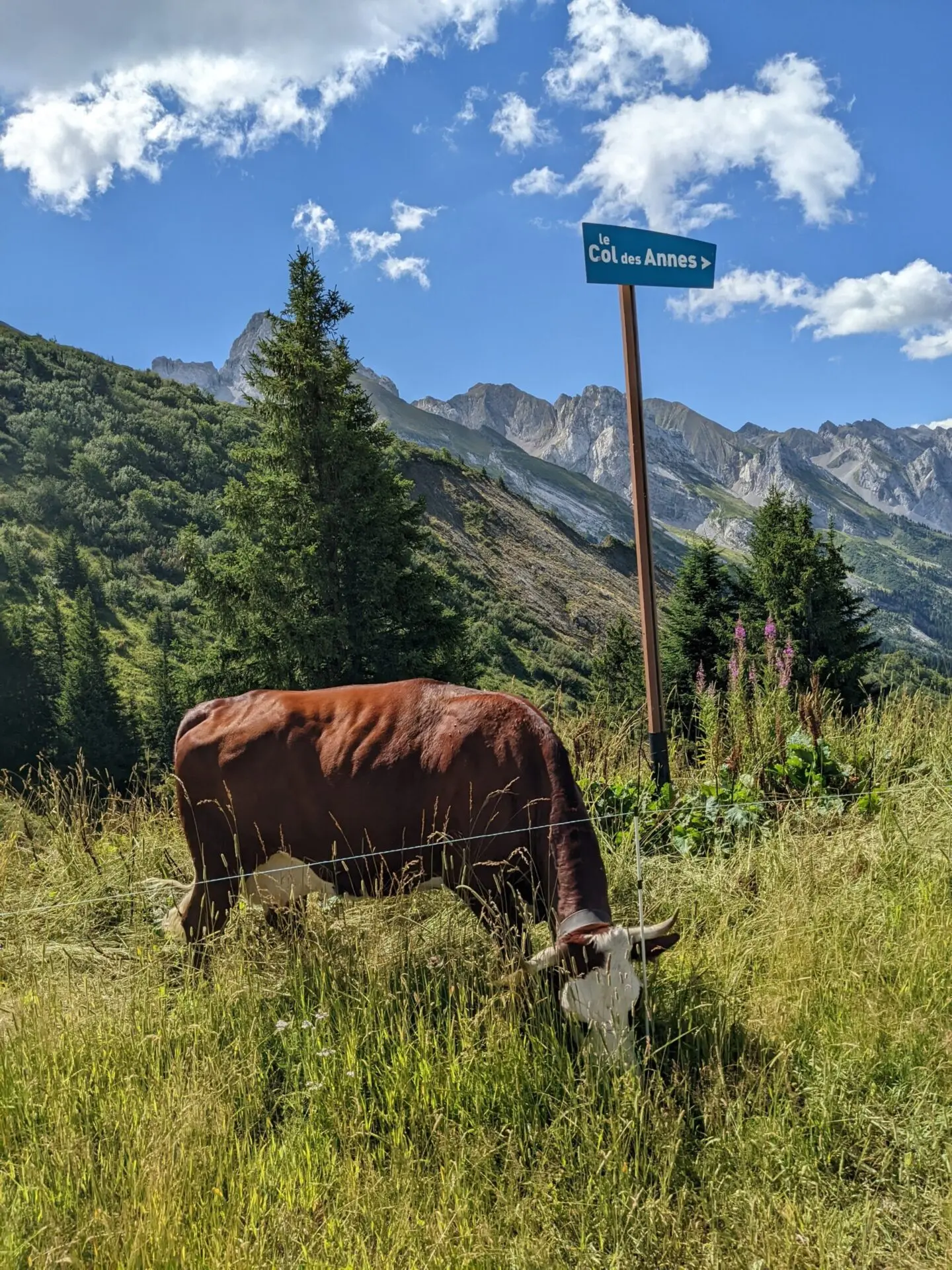 3 jours de randonnée-bivouac dans les Aravis — photo 9
