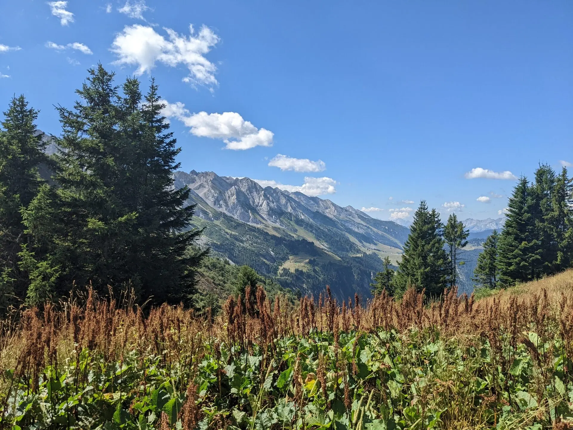 3 jours de randonnée-bivouac dans les Aravis — photo 11