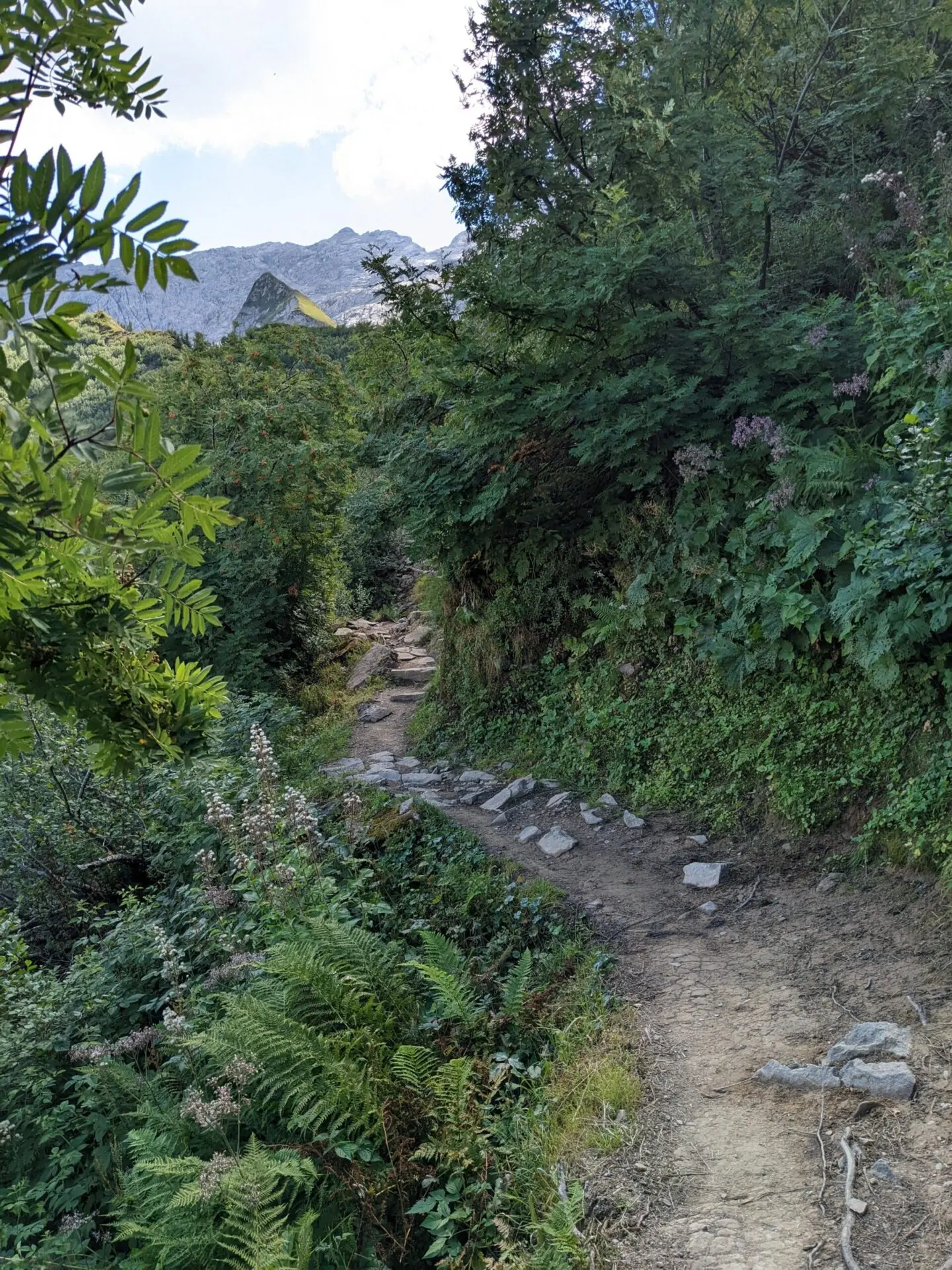 3 jours de randonnée-bivouac dans les Aravis — photo 15