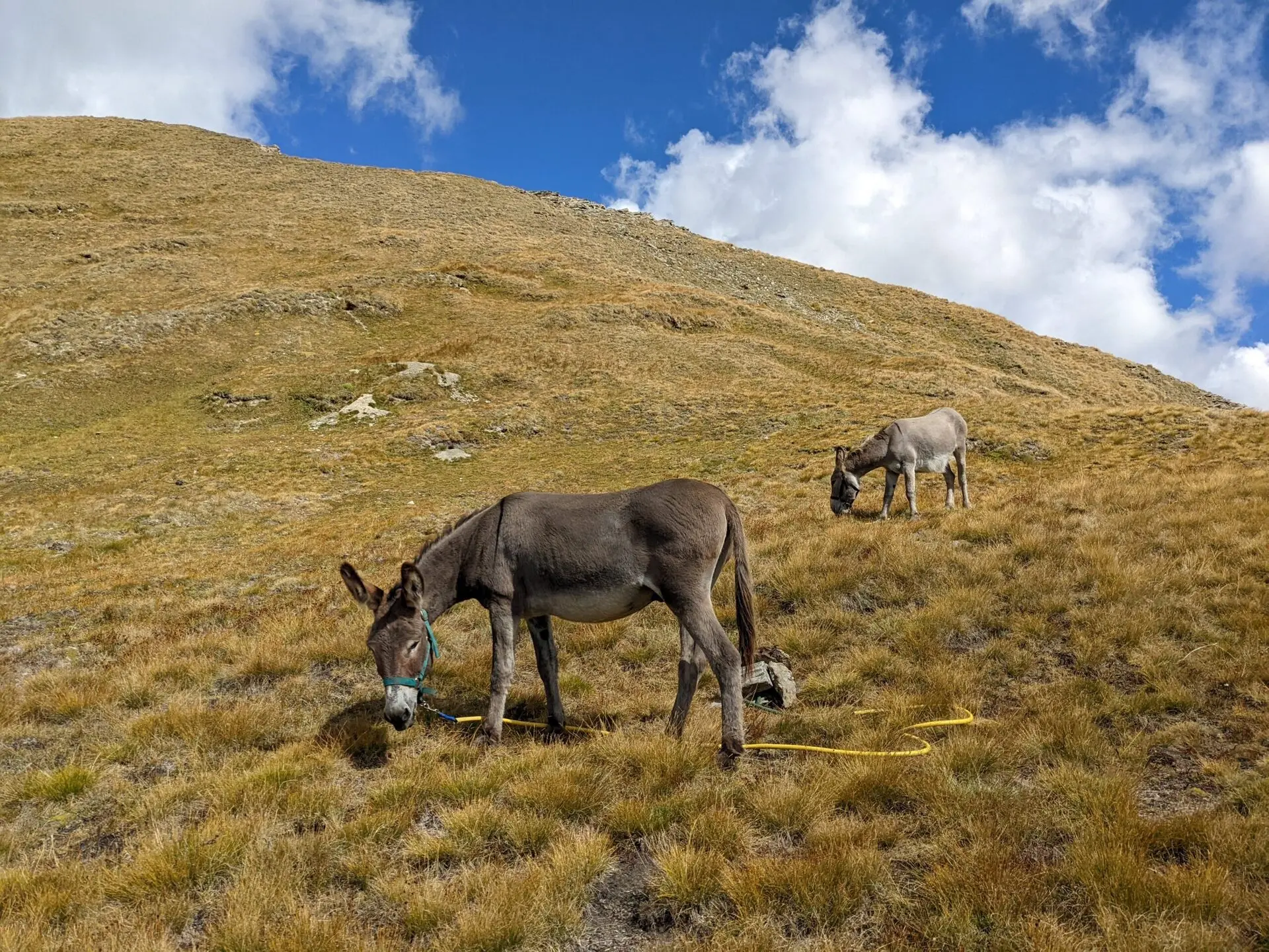 Tour du Queyras en 7 jours - Étapes, itinéraire et récit — photo 24