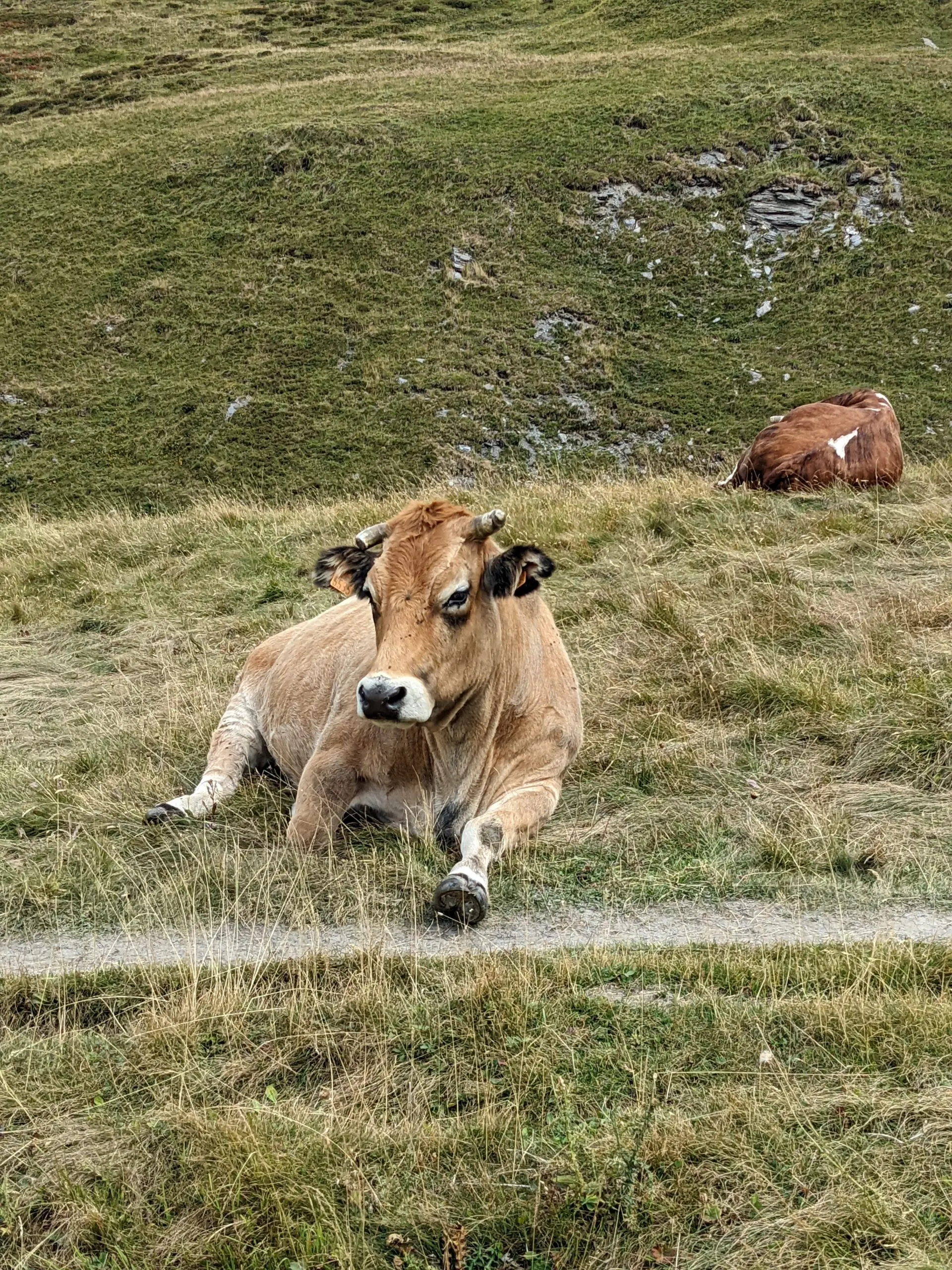 Tour du Queyras en 7 jours - Étapes, itinéraire et récit — photo 71