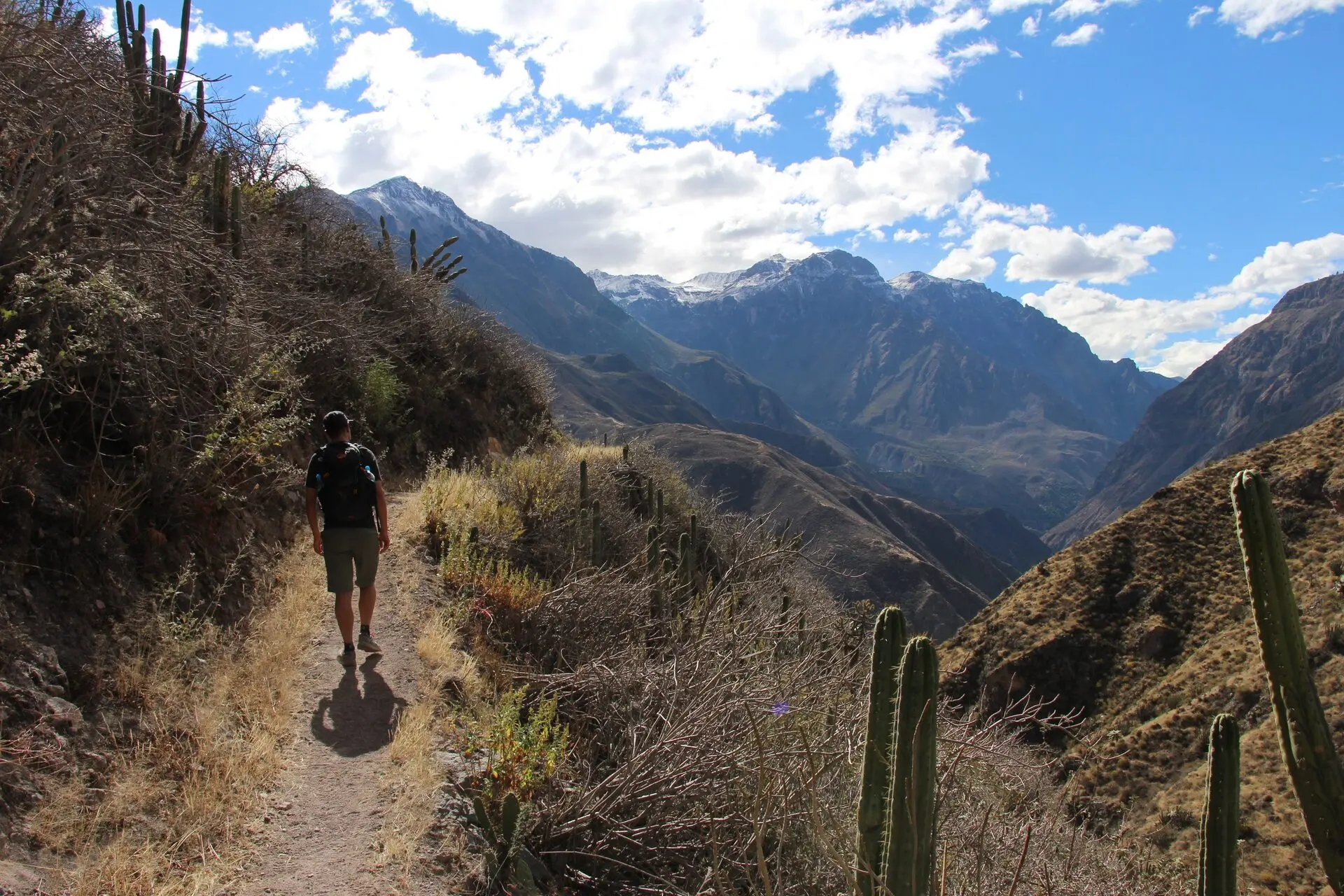 Trek du canyon de Colca en 2 jours récit, étapes et conseils — photo 6
