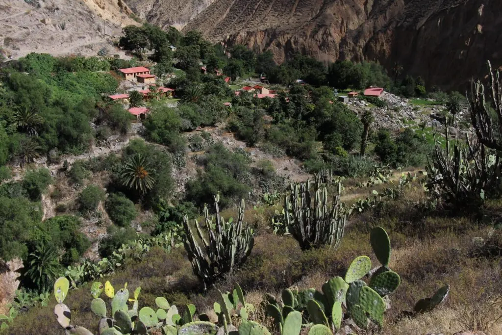 Trek du canyon de Colca en 2 jours récit, étapes et conseils — photo 11