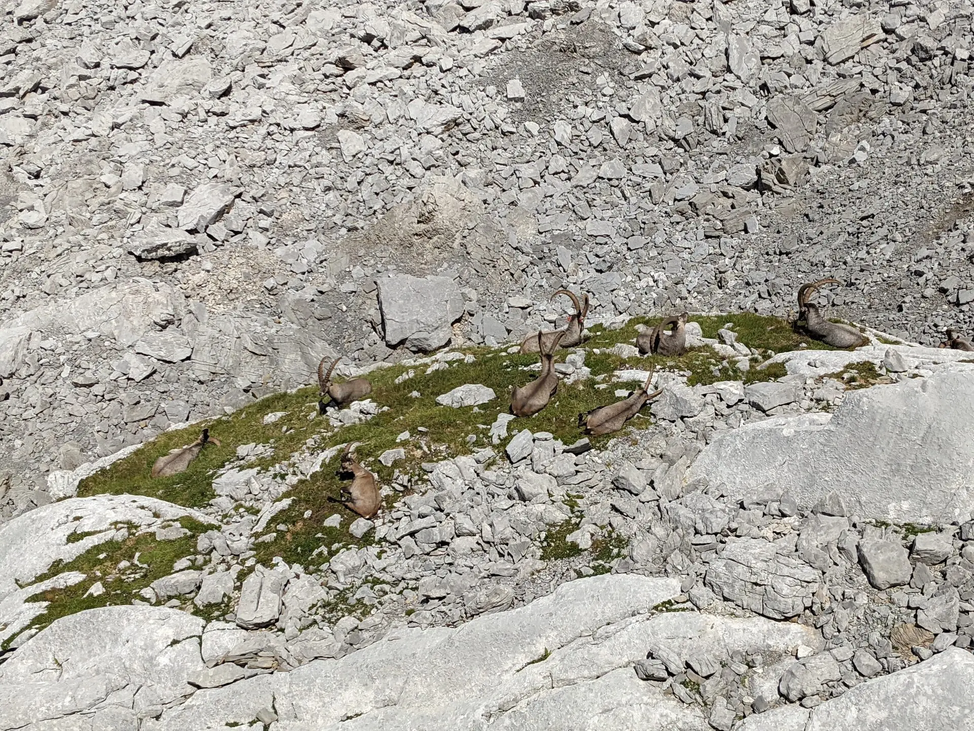 3 jours de randonnée-bivouac dans les Aravis — photo 21