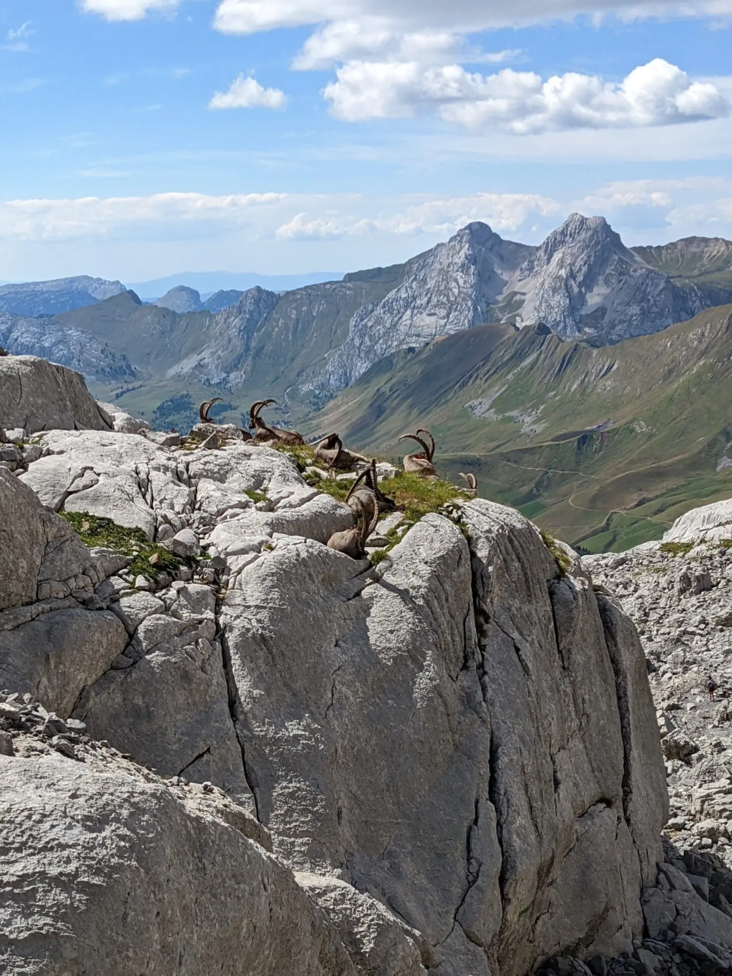 3 jours de randonnée-bivouac dans les Aravis — photo 20