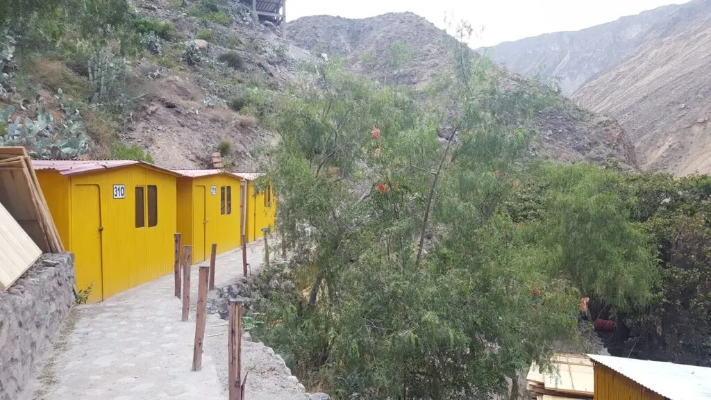 Trek du canyon de Colca en 2 jours récit, étapes et conseils — photo 7