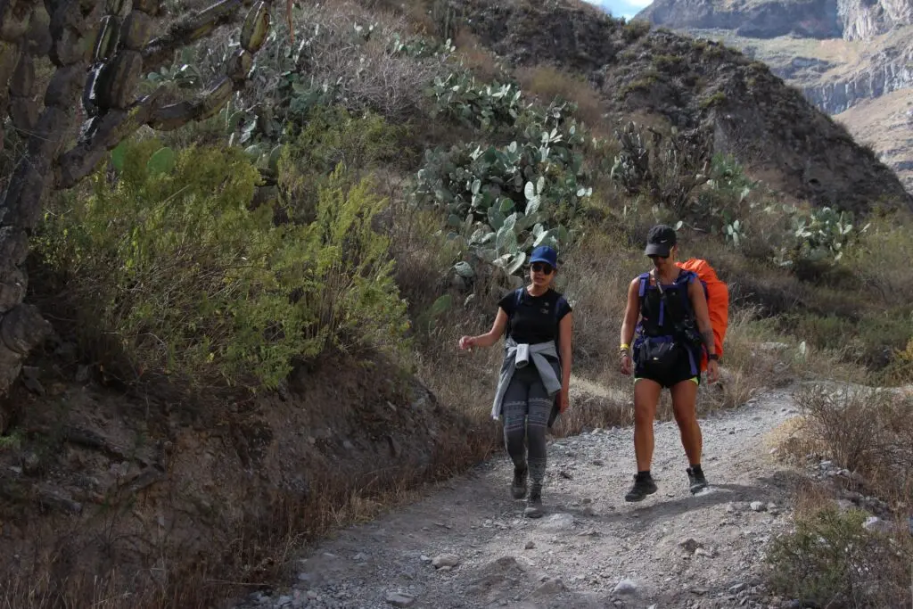 Trek du canyon de Colca en 2 jours récit, étapes et conseils — photo 15