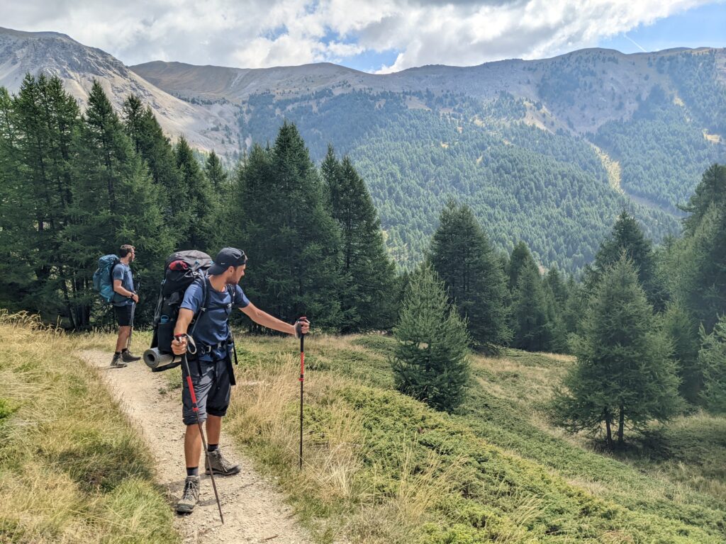 Les meilleurs bâtons randonnée et marche 2025