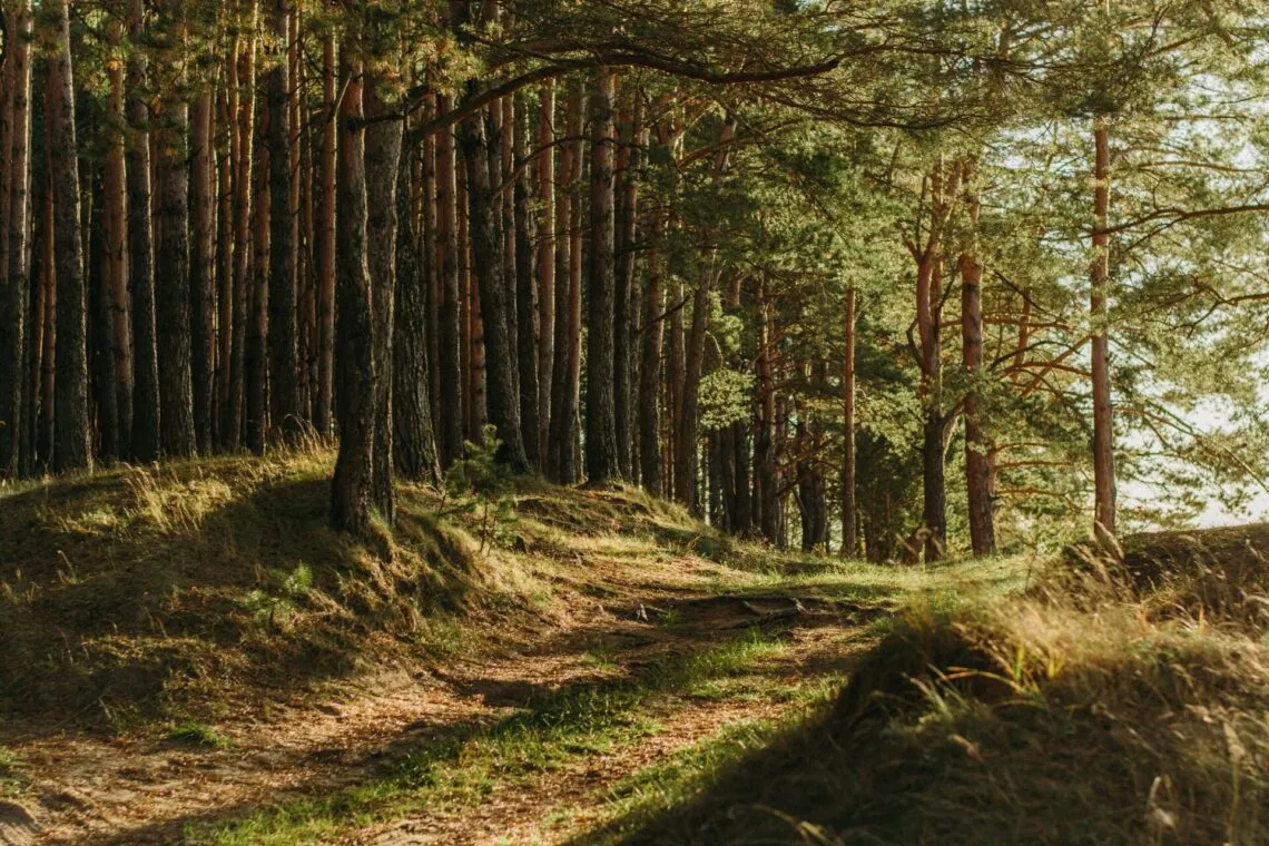 Limiter son impact sur la nature en randonnée