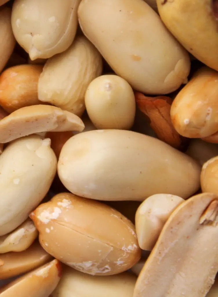 L'alimentation en randonnée pendant l'effort : les petites collations — Alimentation en randonnée : que manger et q…