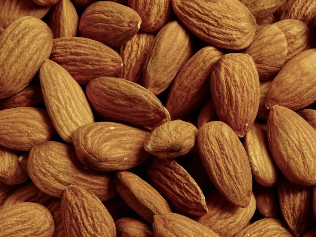 L'alimentation en randonnée pendant l'effort : les petites collations — Alimentation en randonnée : que manger et q… (photo 2)