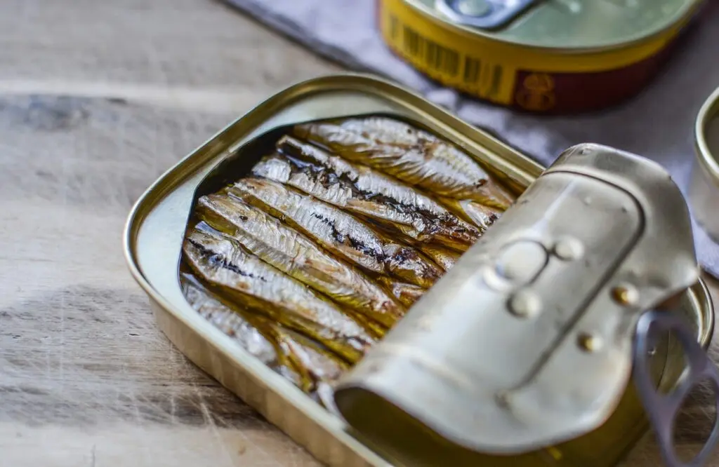 L'alimentation en randonnée : repas du midi — Alimentation en randonnée : que manger et quand ?