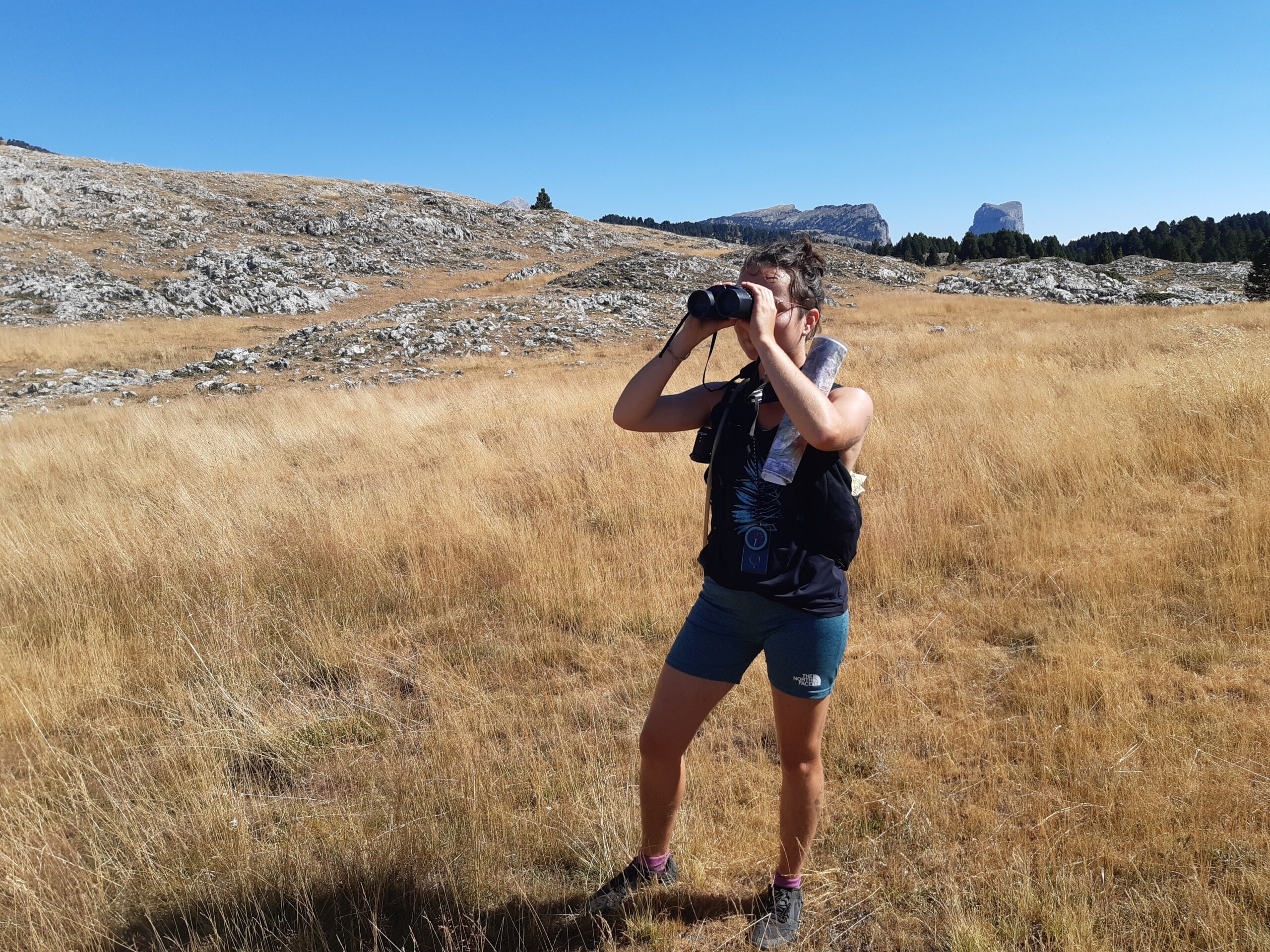 La formation d'accompagnateur en moyenne montagne (AMM)