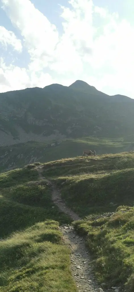 Le Tour des Aiguilles Rouges en 3 jours par la crête de Villy