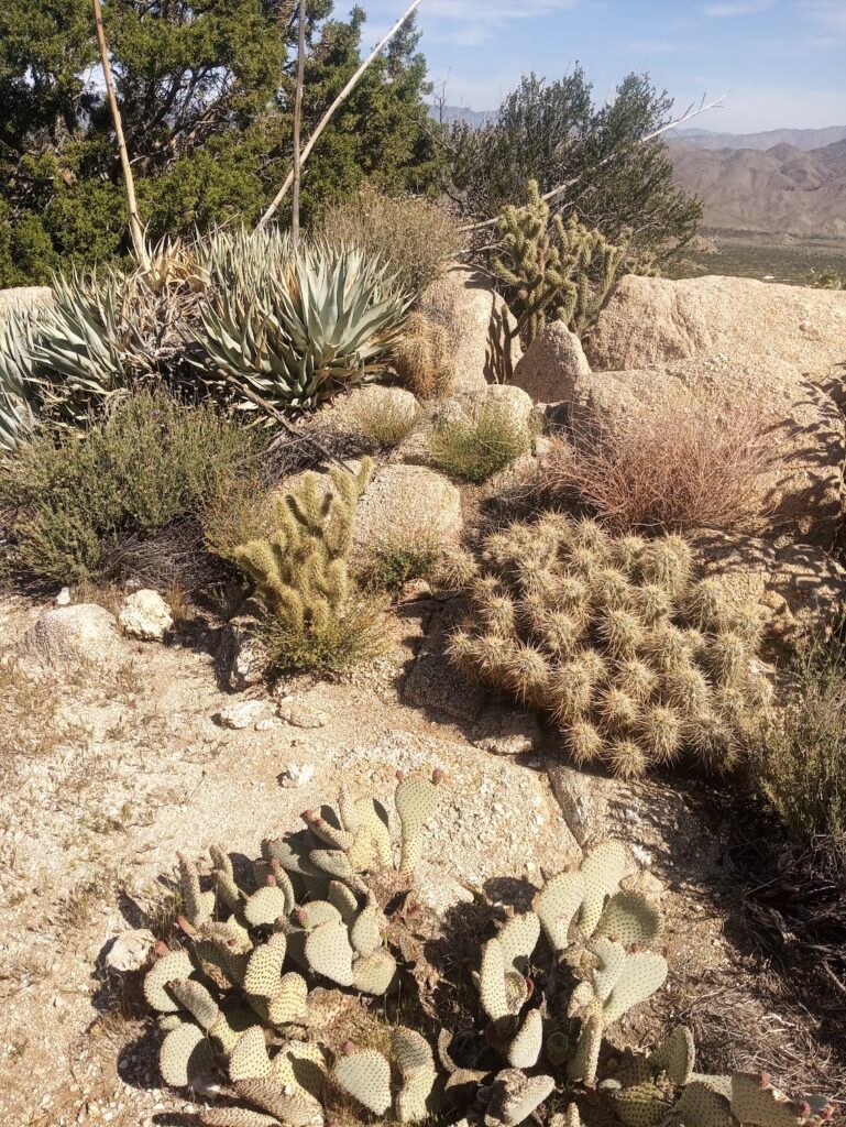 Le PCT Trail (Pacific Crest Trail) guide et récit — photo 10