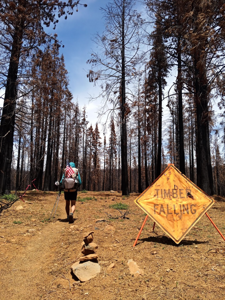 Le PCT Trail (Pacific Crest Trail) guide et récit — photo 36