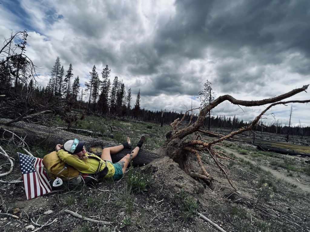 Le PCT Trail (Pacific Crest Trail) guide et récit — photo 39