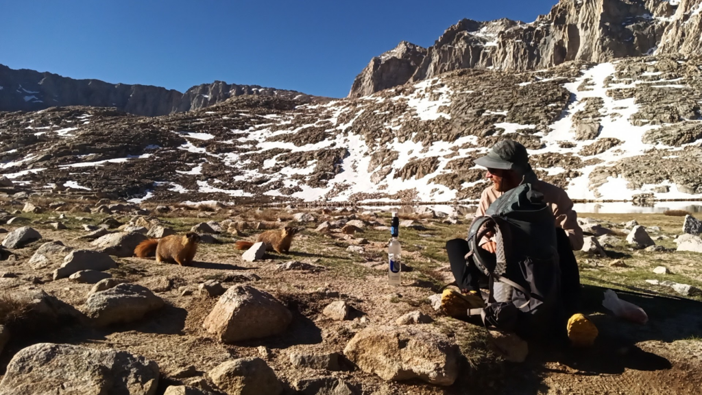 Le PCT Trail (Pacific Crest Trail) guide et récit — photo 28