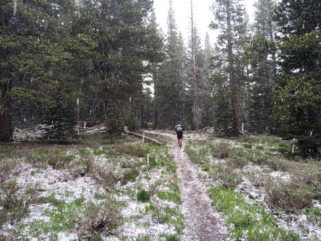 Le PCT Trail (Pacific Crest Trail) guide et récit — photo 34