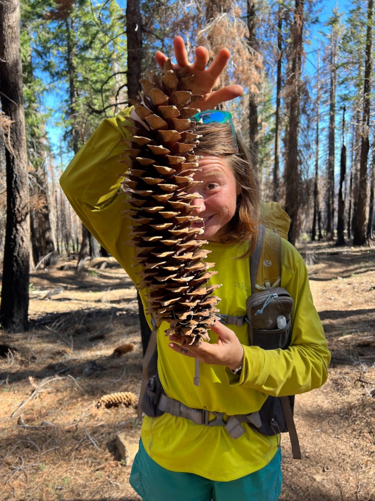 Le PCT Trail (Pacific Crest Trail) guide et récit — photo 35