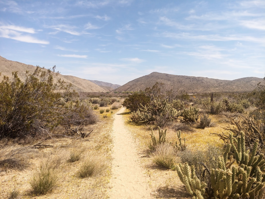 Le PCT Trail (Pacific Crest Trail) guide et récit — photo 11