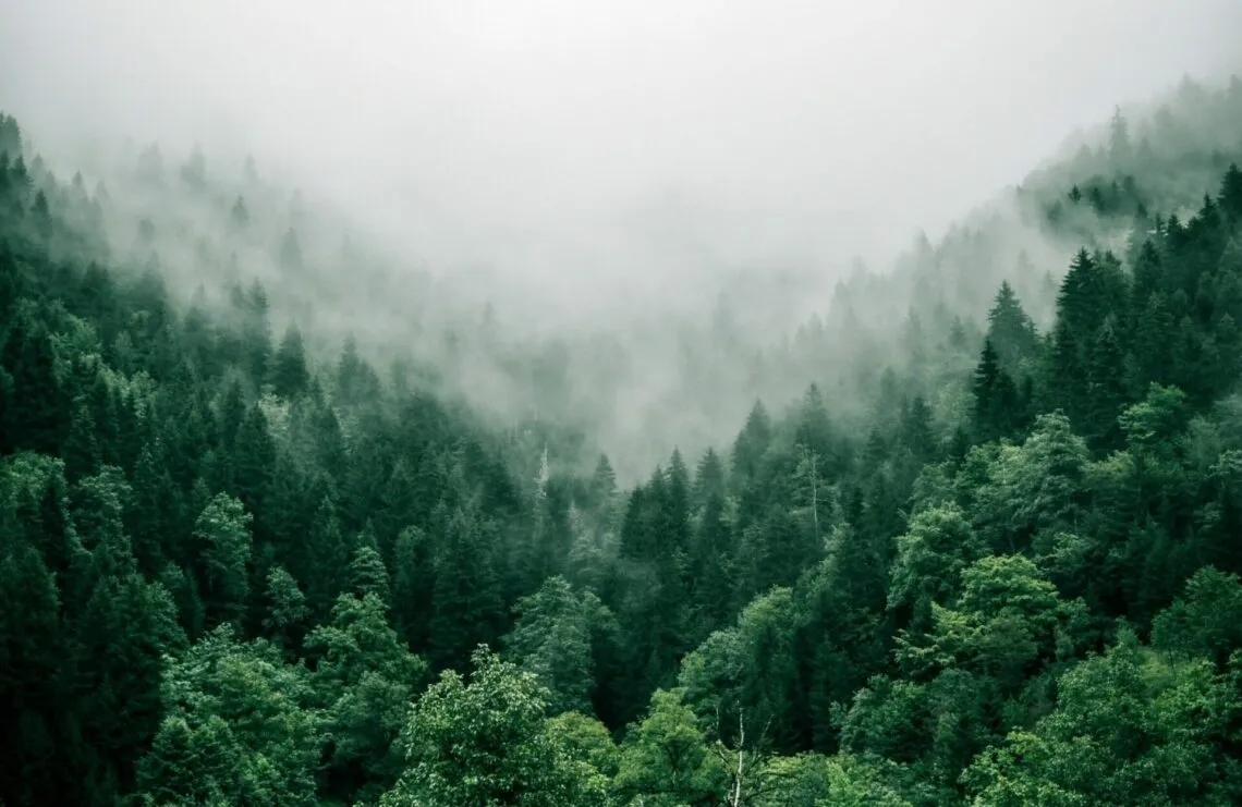 "Leave No Trace" : les 7 principes du mouvement