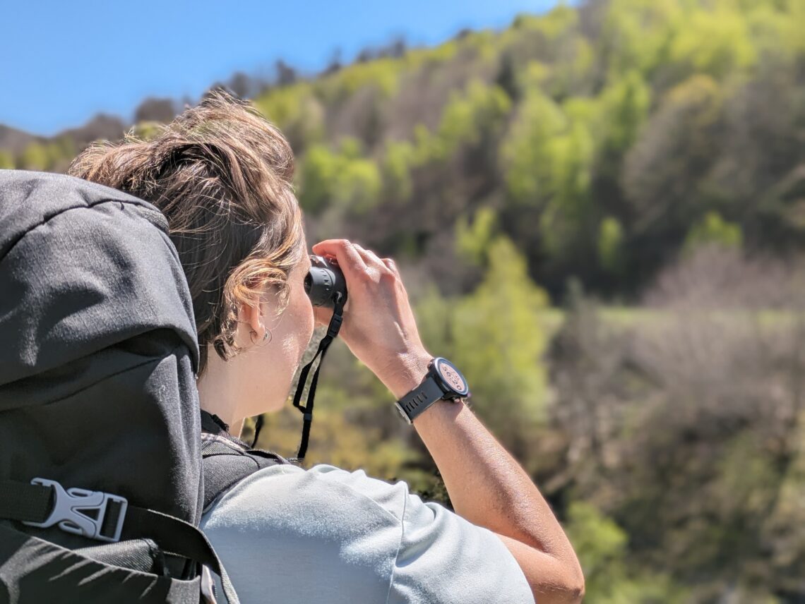 Les meilleures jumelles randonnée : comparatif 2025