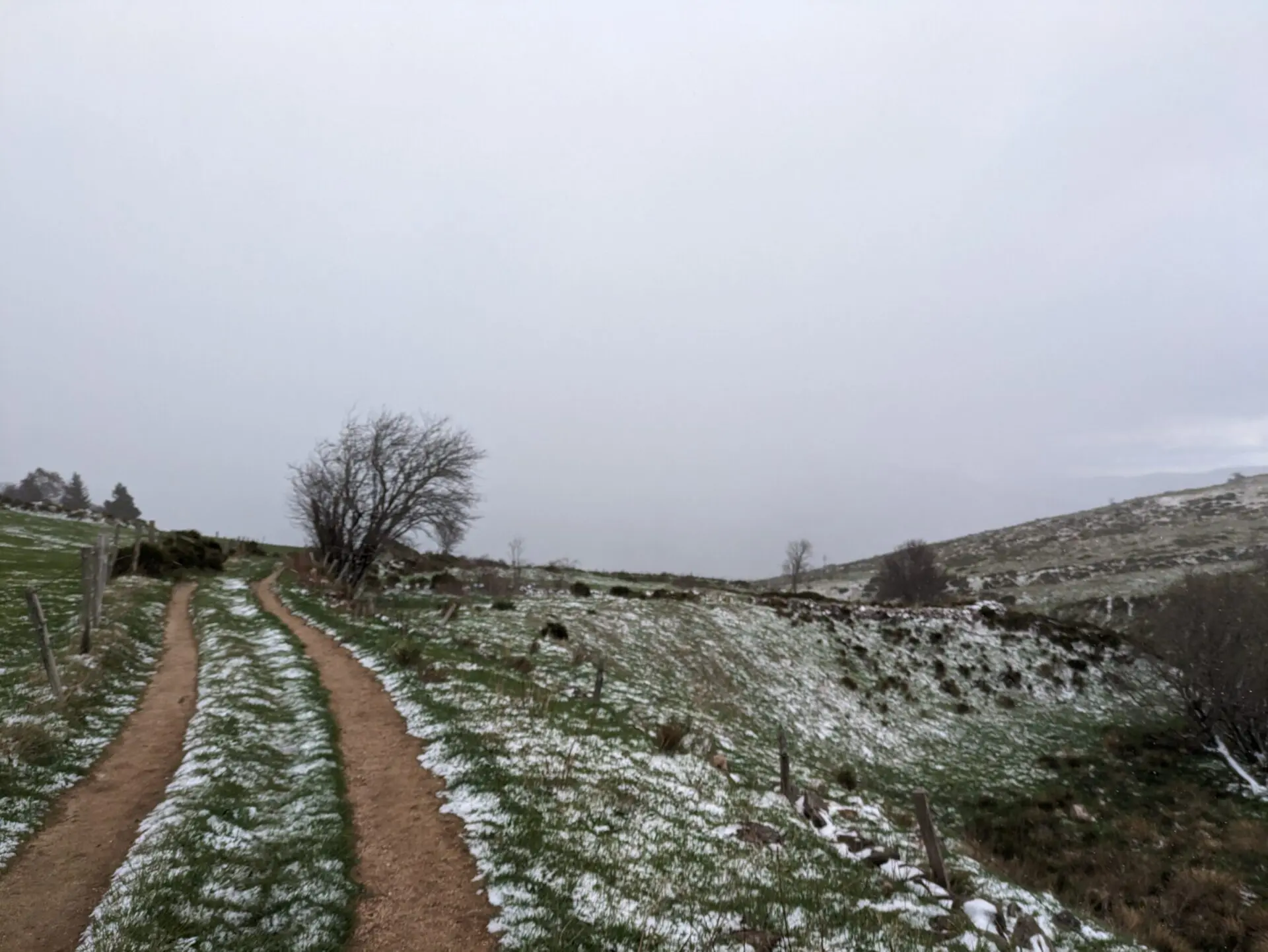 Le Chemin de Stevenson en 12 jours - GR70 - récit, étapes et conseils — photo 67