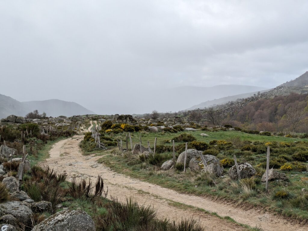 Le Chemin de Stevenson en 12 jours - GR70 - récit, étapes et conseils