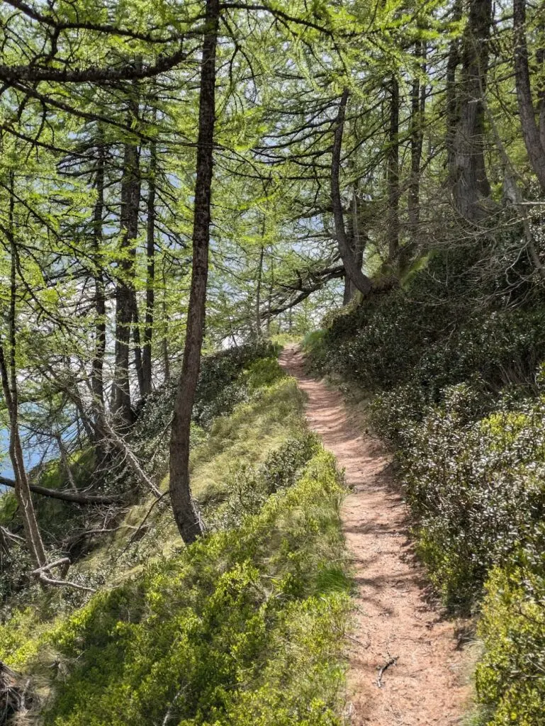 Mad Jacques Trek Roya 3 jours de randonnée dans la vallée de la Roya — photo 30