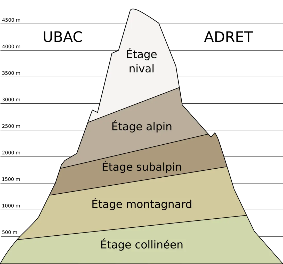 Basse, moyenne ou haute montagne ?