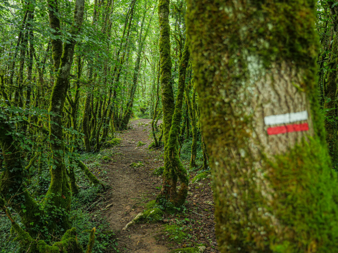 Le GR de Pays Midi Corrézien : 118 km de rando en Corrèze