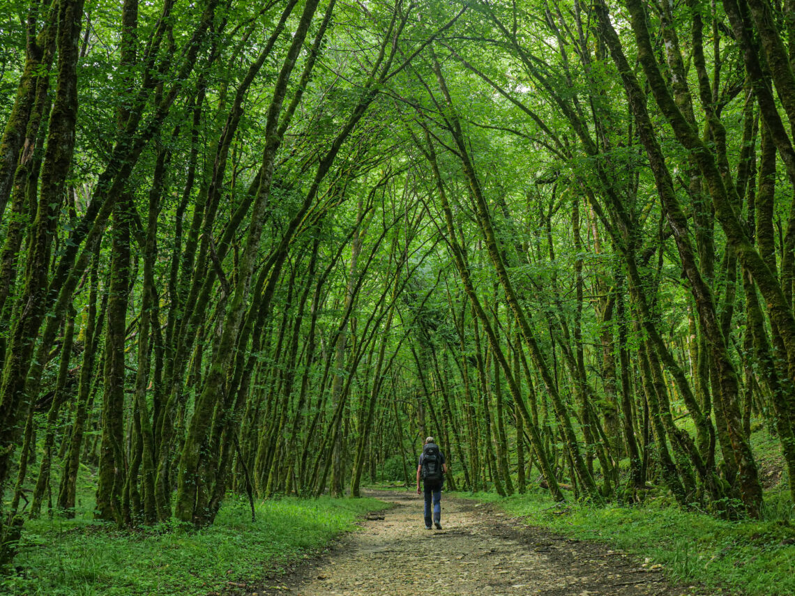 Le GR de Pays Midi Corrézien : 118 km de rando en Corrèze