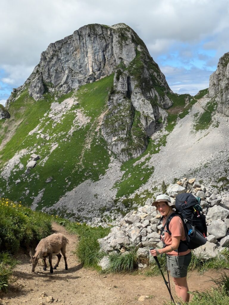 Grande Traversée des Alpes (GTA) - 1/4 - Du lac Léman à Chamonix - Récit et étapes