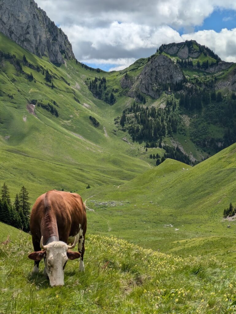 Grande Traversée des Alpes (GTA) - 1/4 - Du lac Léman à Chamonix - Récit et étapes