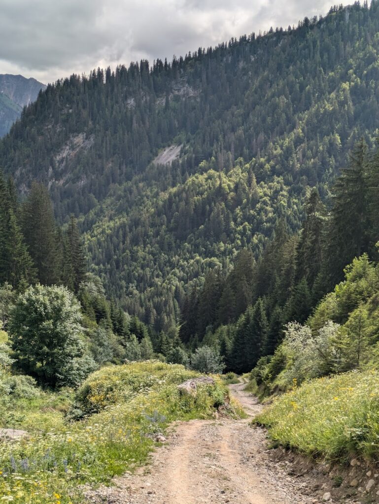 Grande Traversée des Alpes (GTA) - 1/4 - Du lac Léman à Chamonix - Récit et étapes