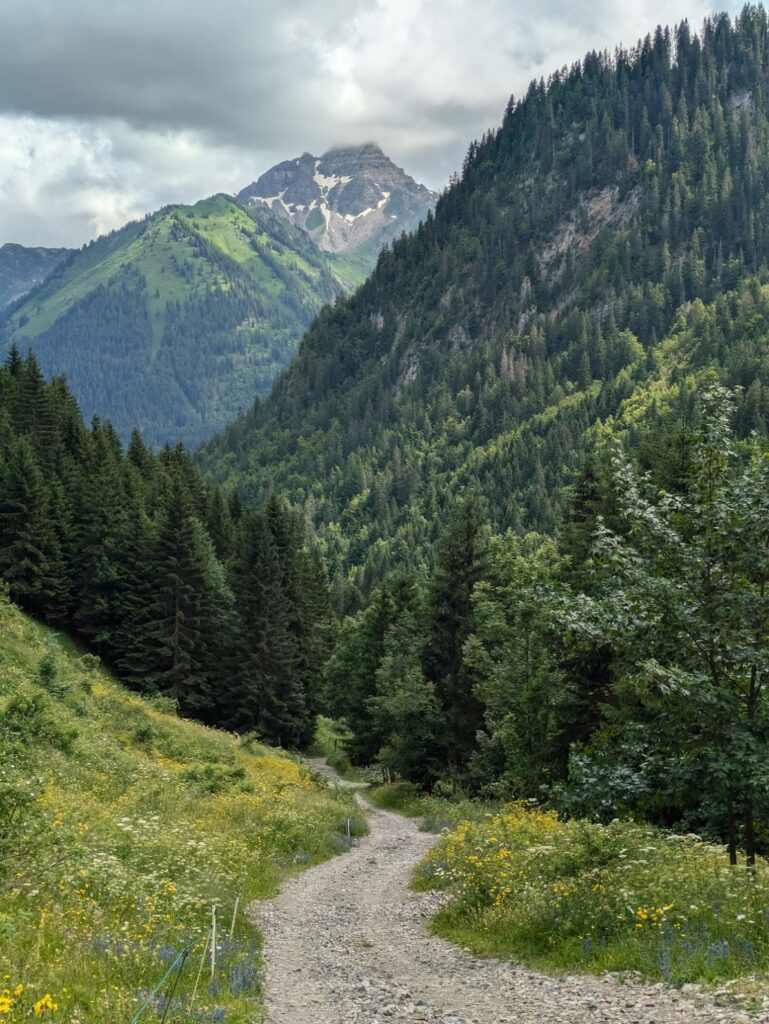 Grande Traversée des Alpes (GTA) - 1/4 - Du lac Léman à Chamonix - Récit et étapes