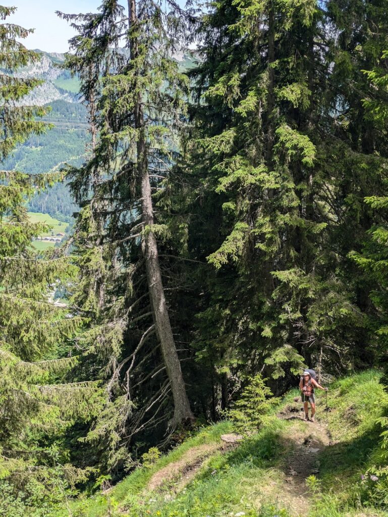 Grande Traversée des Alpes (GTA) - 1/4 - Du lac Léman à Chamonix - Récit et étapes