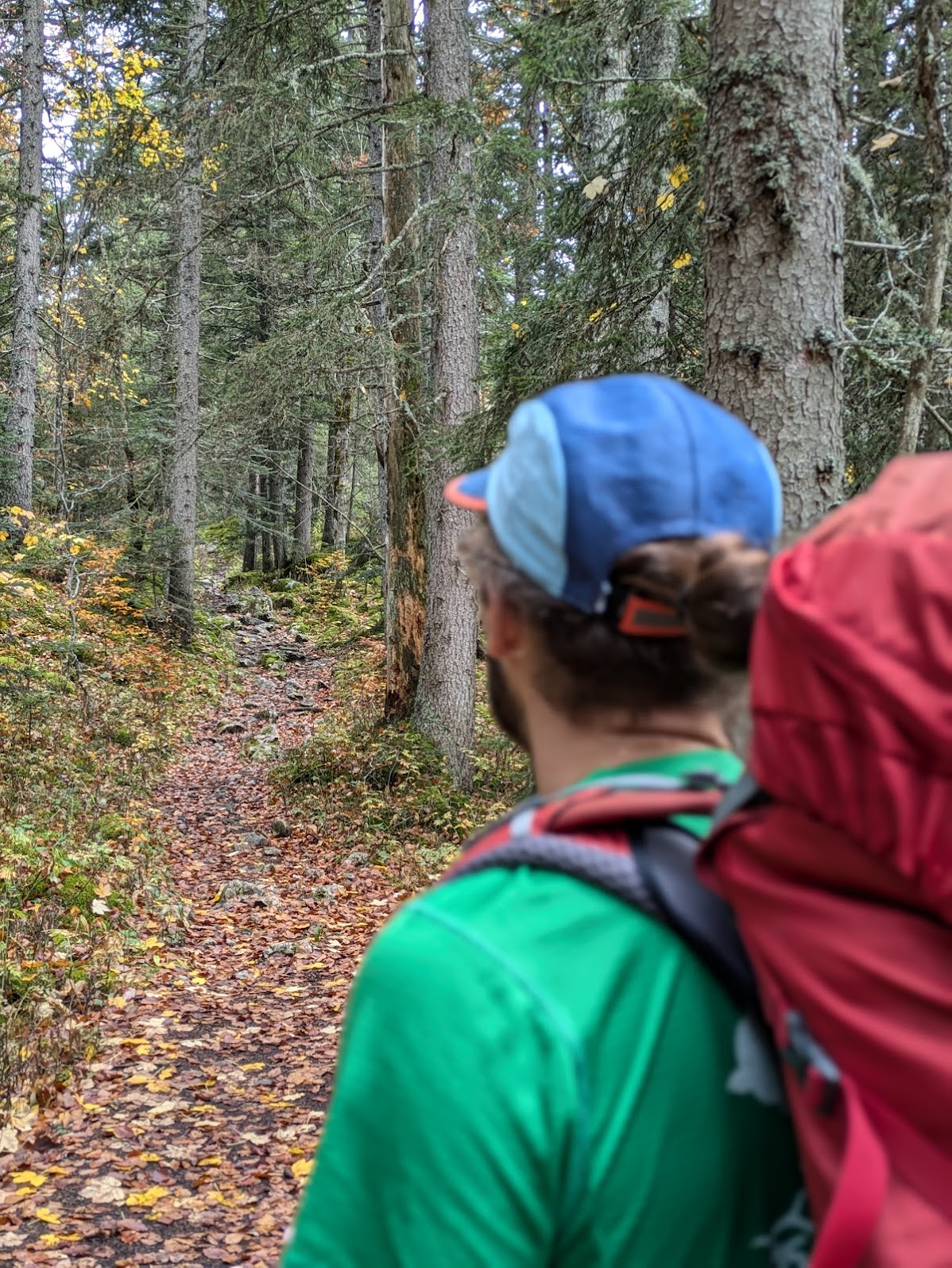 GR®91 - Traversée du Vercors en 3 jours de Corrençon à Die