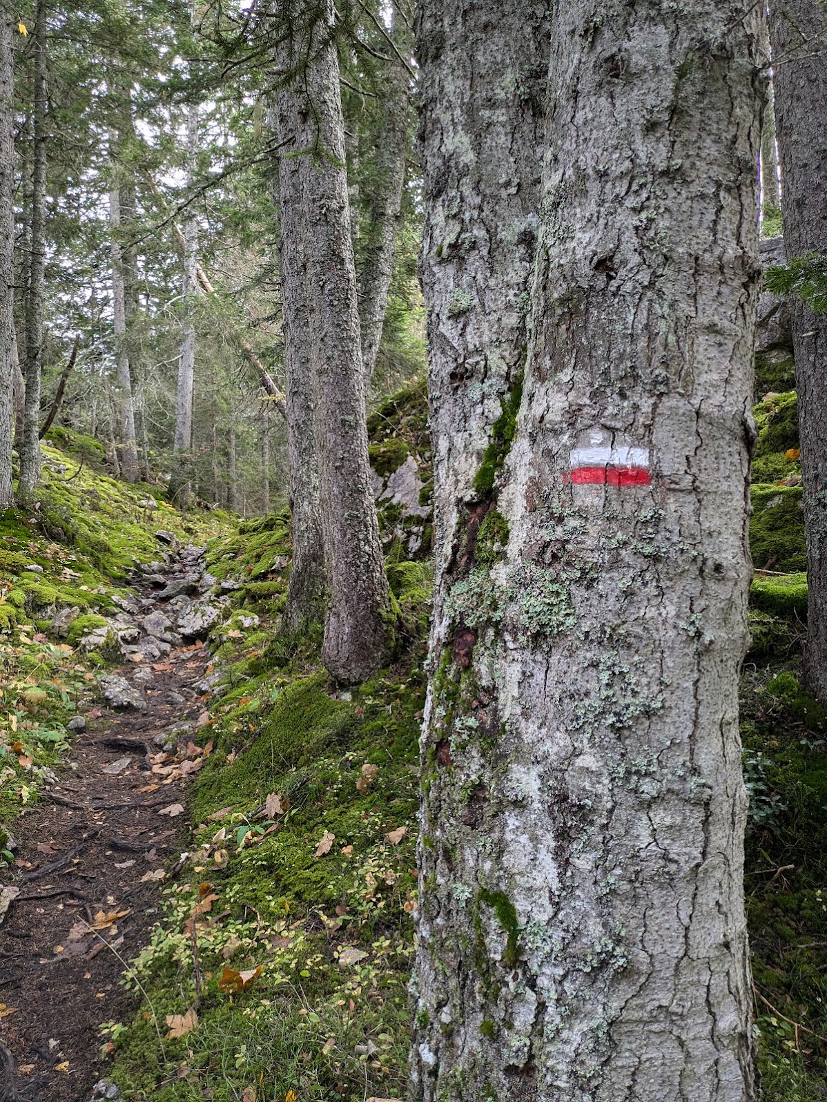 GR®91 - Traversée du Vercors en 3 jours de Corrençon à Die