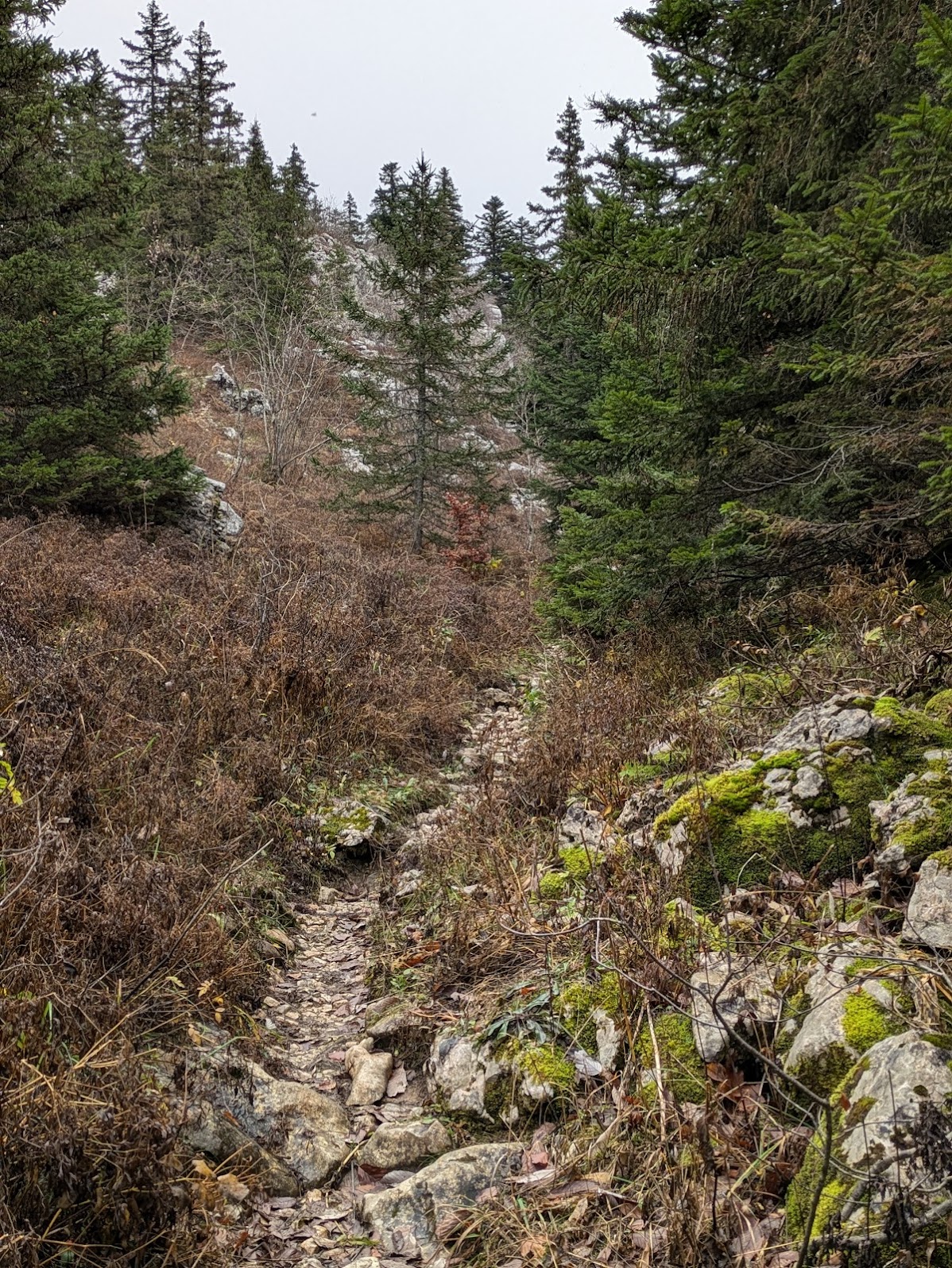 GR®91 - Traversée du Vercors en 3 jours de Corrençon à Die