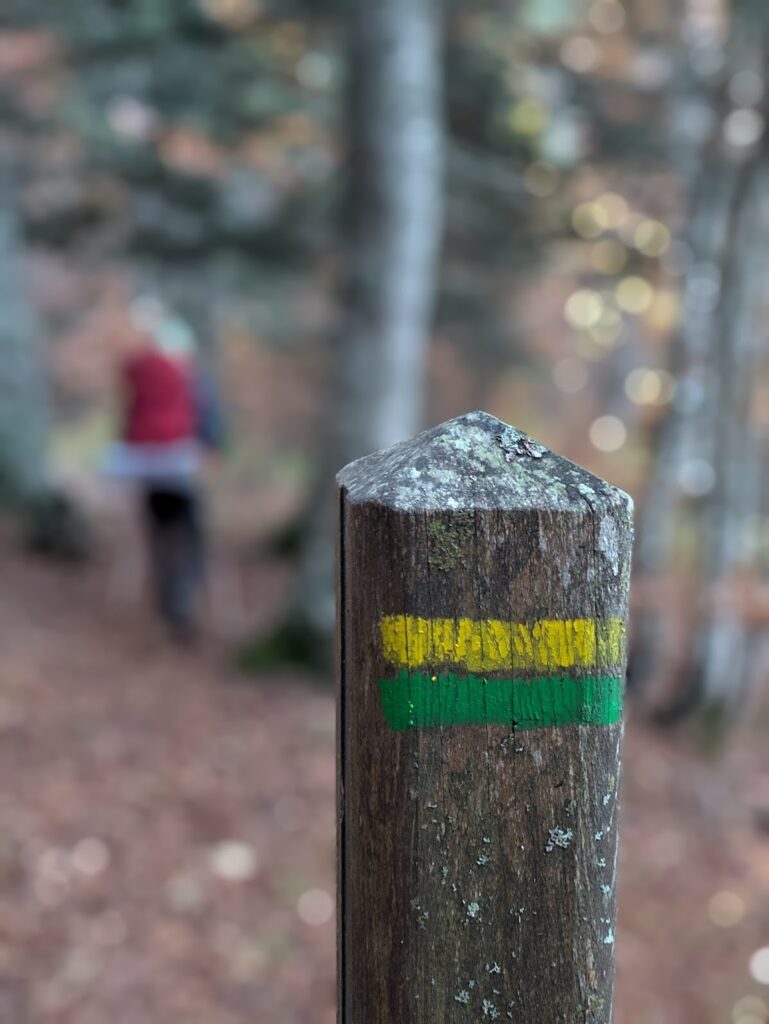 GR®91 - Traversée du Vercors en 3 jours de Corrençon à Die