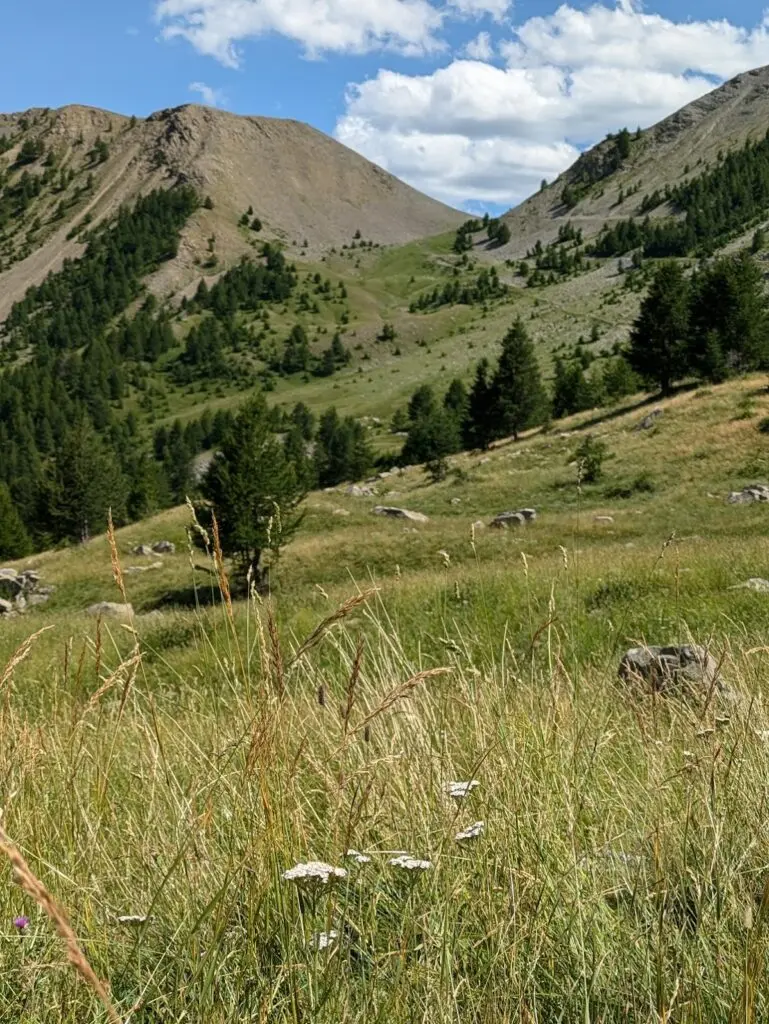Grande Traversée des Alpes GR5 et GR52 - Mercantour et Vallée des Merveilles - 44 — photo 8