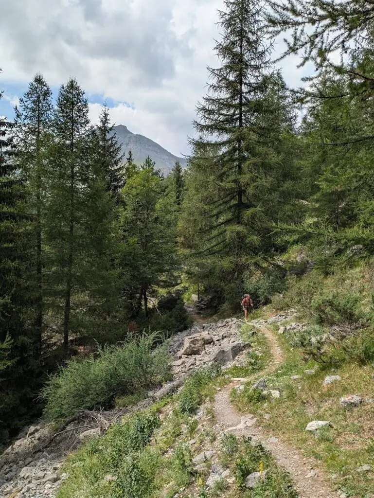 Grande Traversée des Alpes GR5 et GR52 - Mercantour et Vallée des Merveilles - 44 — photo 22