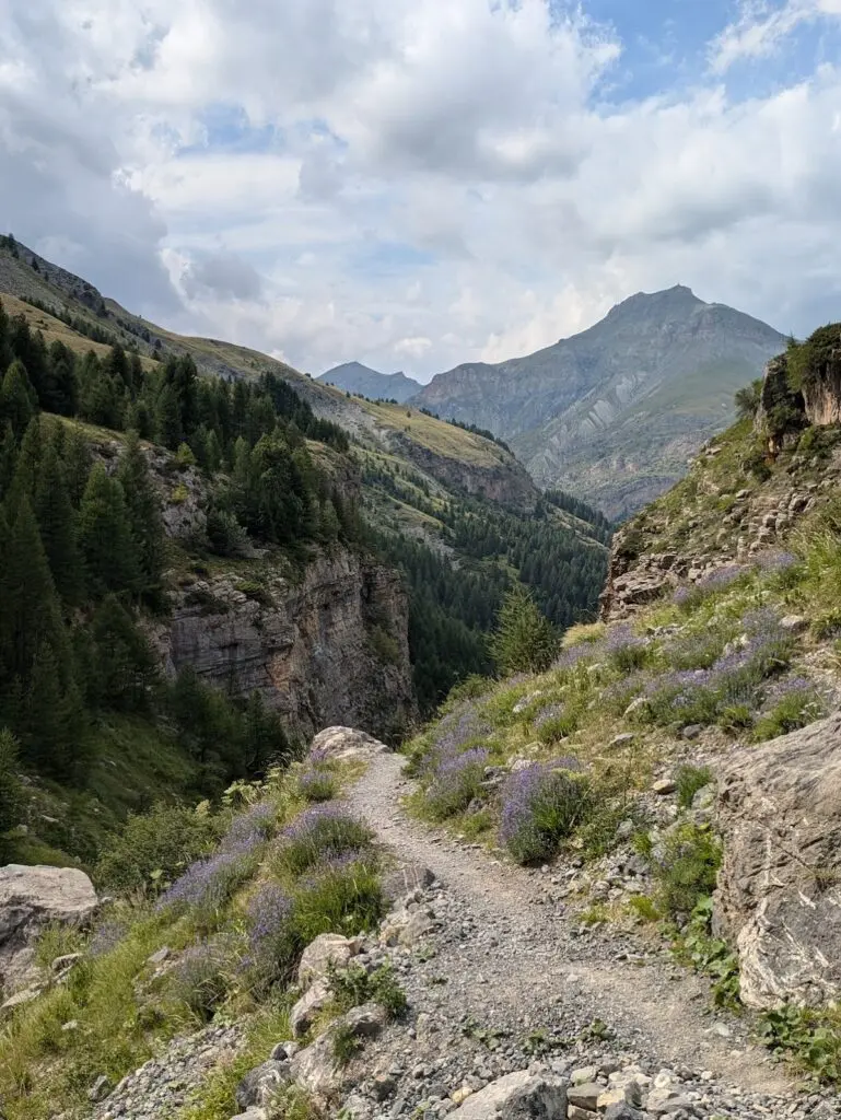 Grande Traversée des Alpes GR5 et GR52 - Mercantour et Vallée des Merveilles - 44 — photo 25