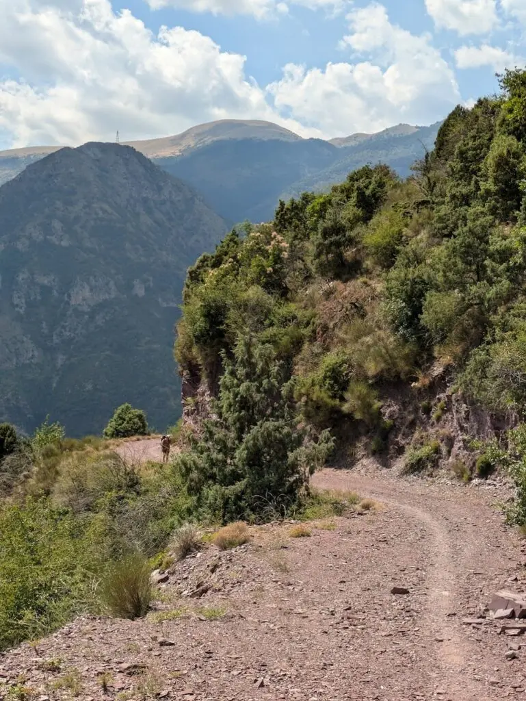 Grande Traversée des Alpes GR5 et GR52 - Mercantour et Vallée des Merveilles - 44 — photo 53